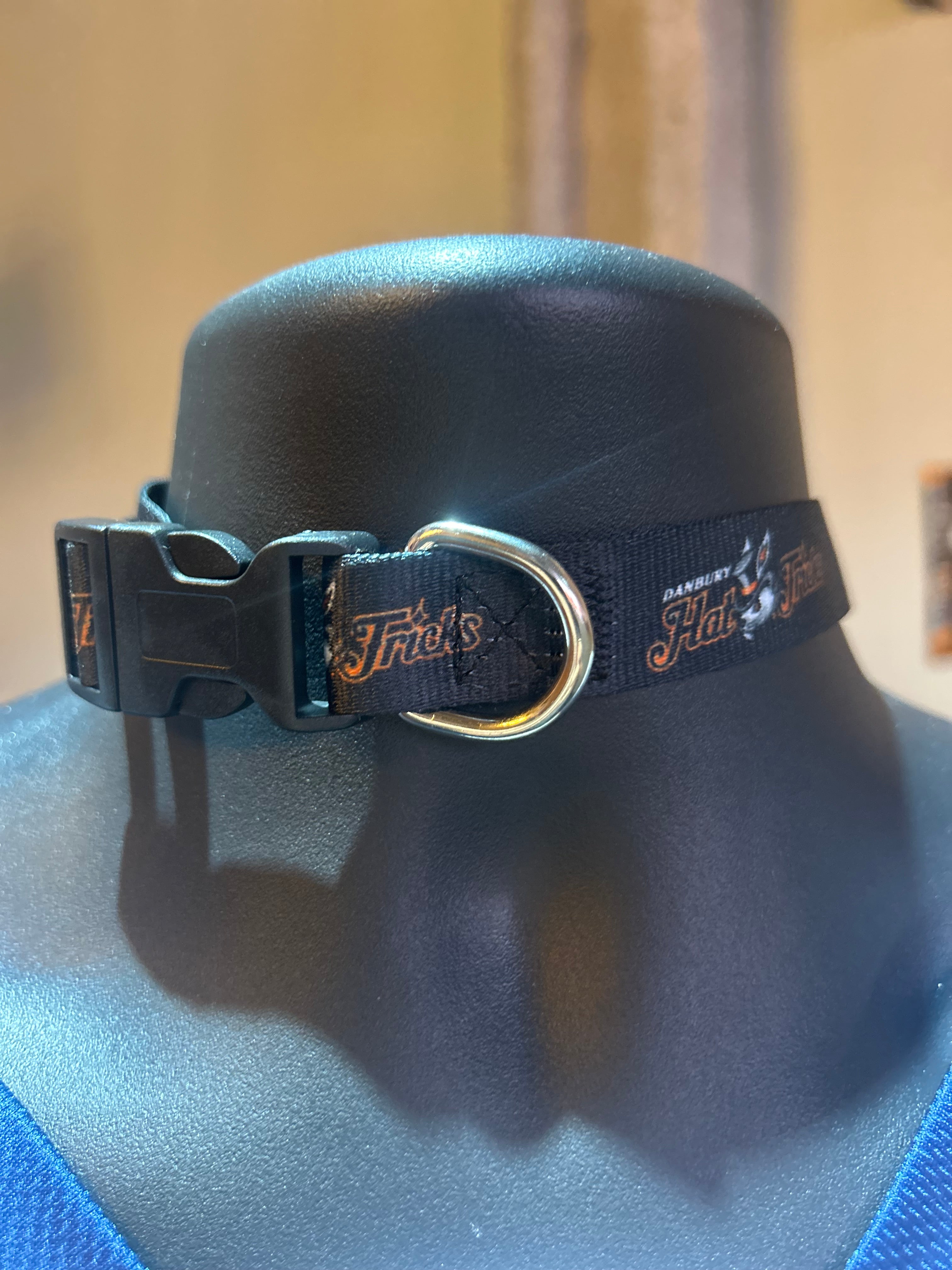 Danbury Hat Tricks Dog/Pet Collar