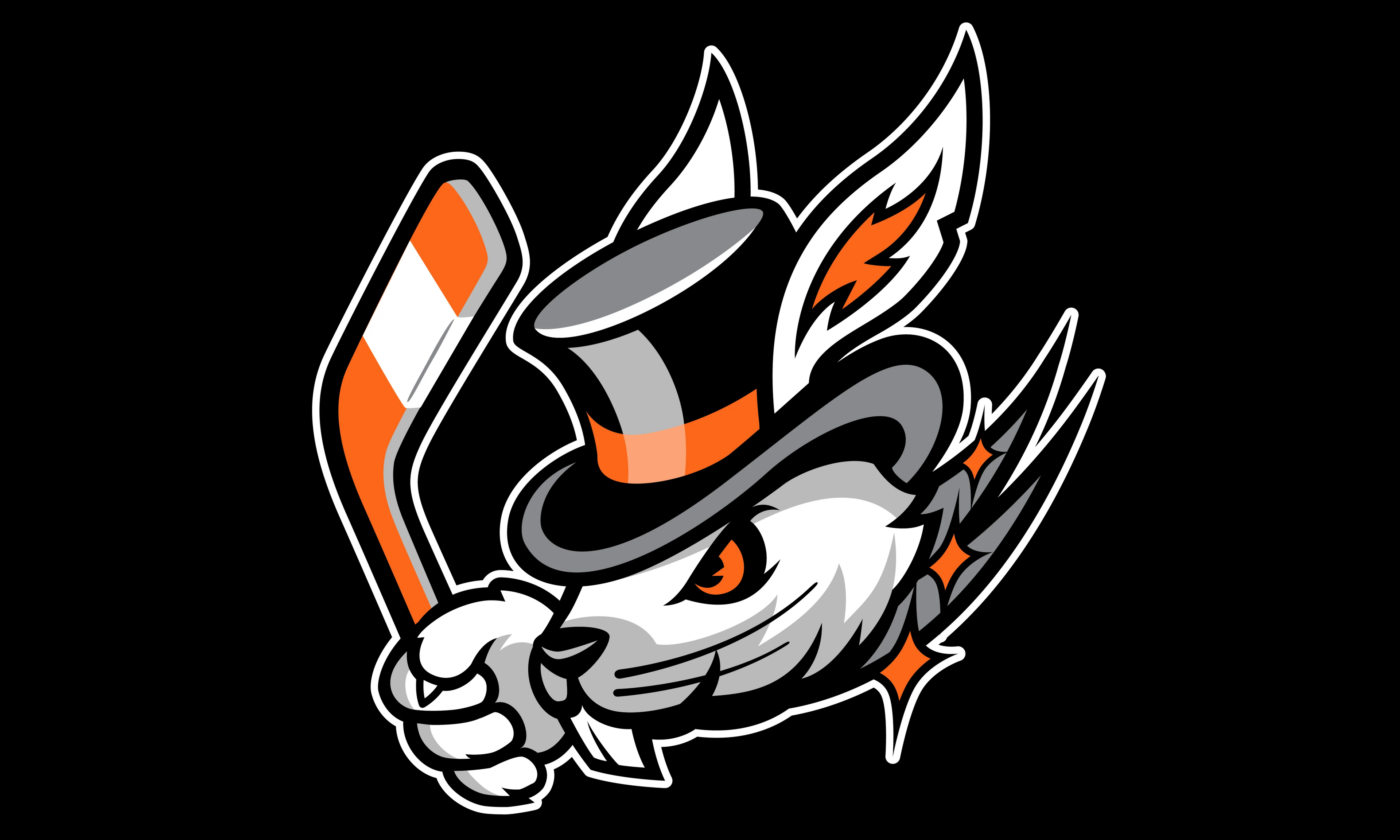 3 x 5 Foot Wall Flag