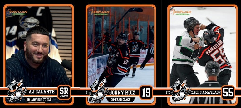 Danbury Hat Tricks 2024-25 Team Card Set