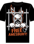 Free Amesbury