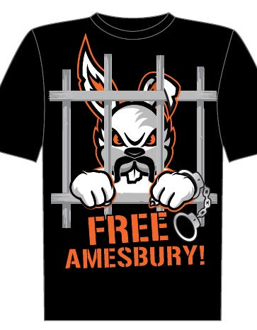 Free Amesbury