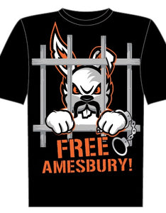 Free Amesbury